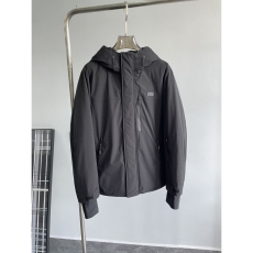 Zegna Down Jackets